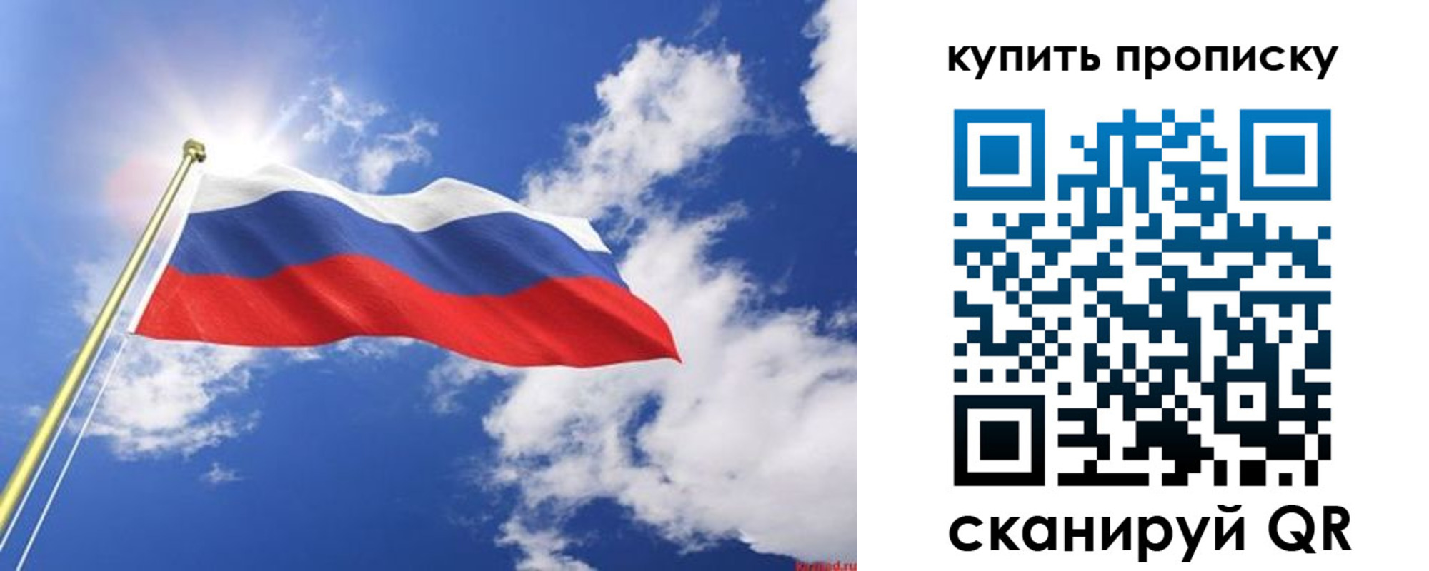 прописка паспорт в Калининградской области