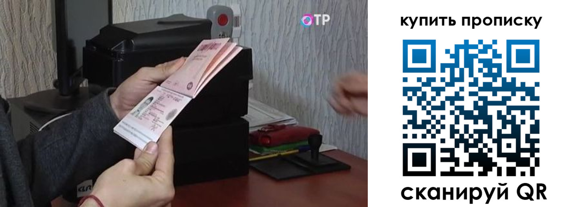 прописка гарантия в Калининградской области